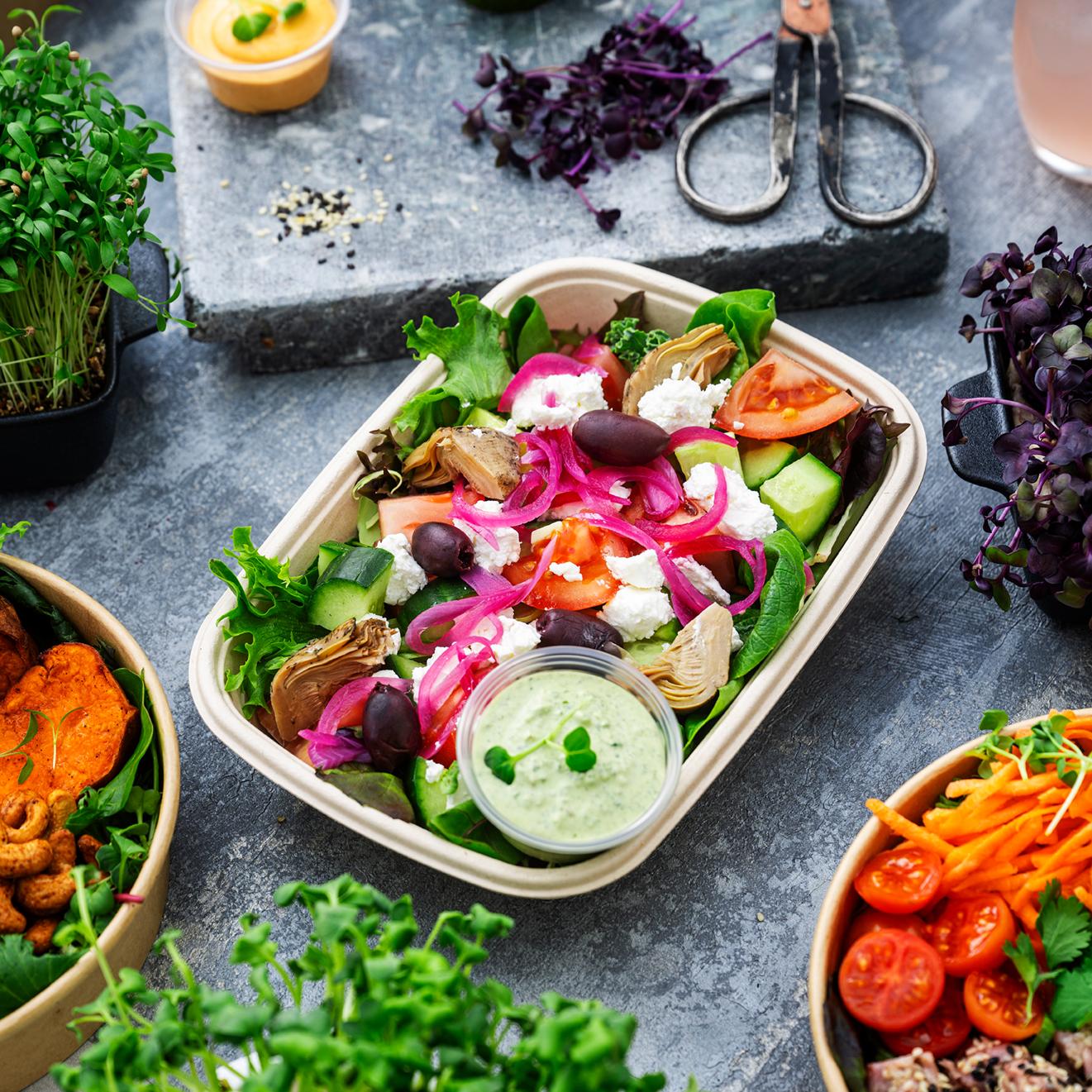 Dagens salat vegetar